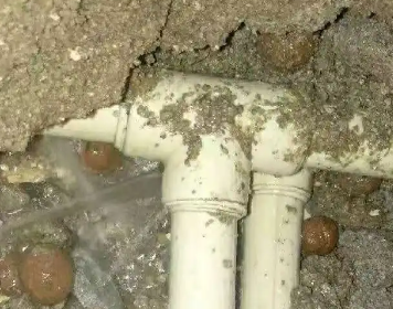 康乐测漏水多少钱